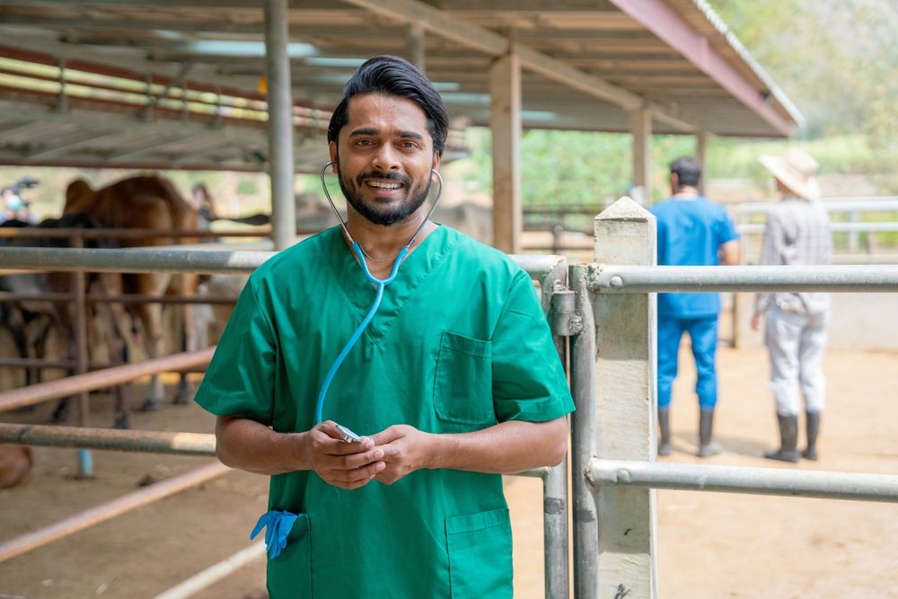 Veterinarian at a cattle farm